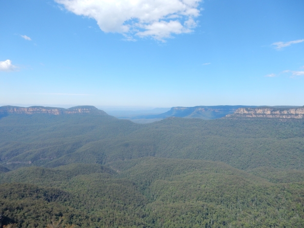 Blue mountains in Australië